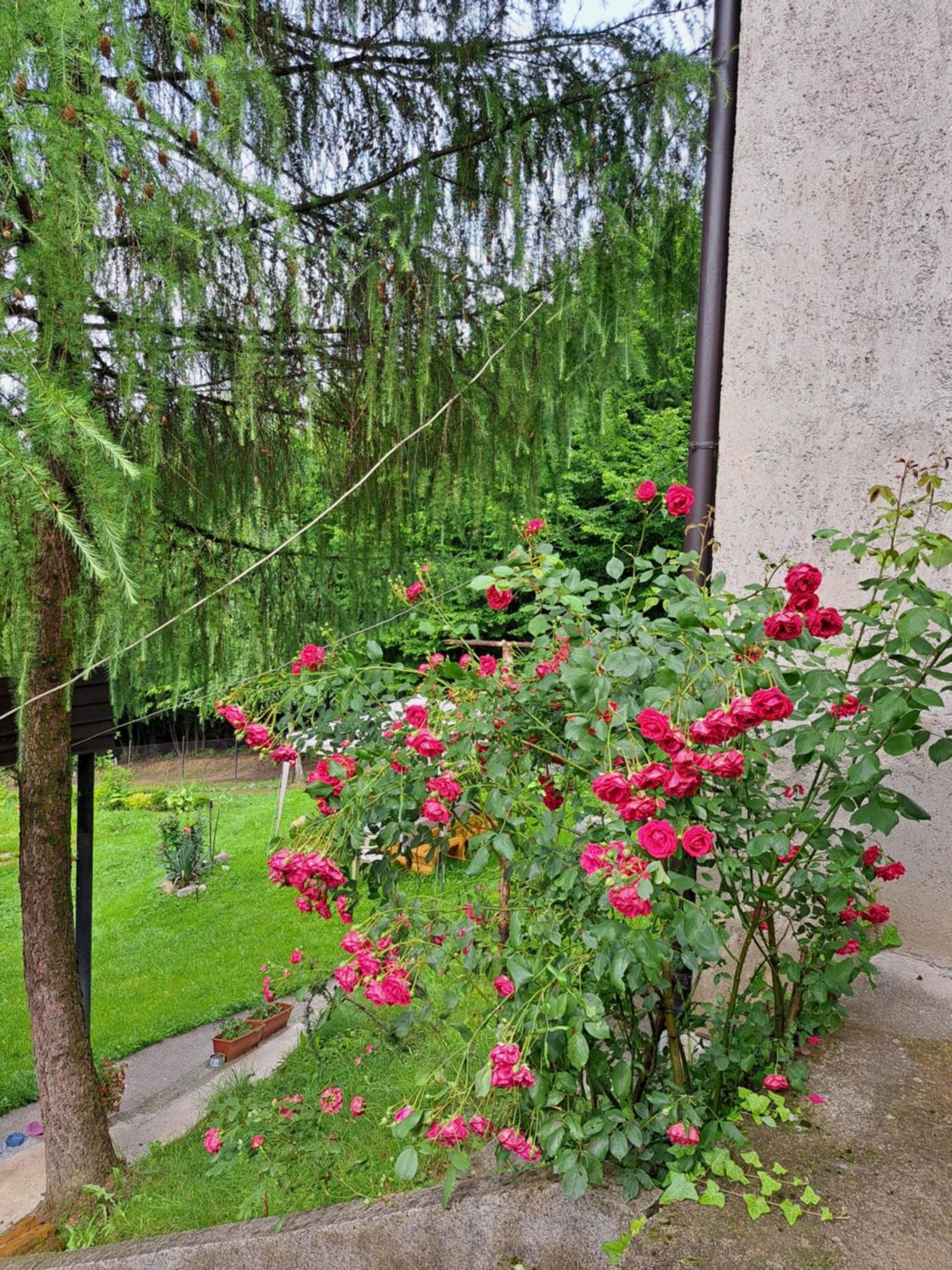 Mala Farma Nani Villa วิโซโค ภายนอก รูปภาพ