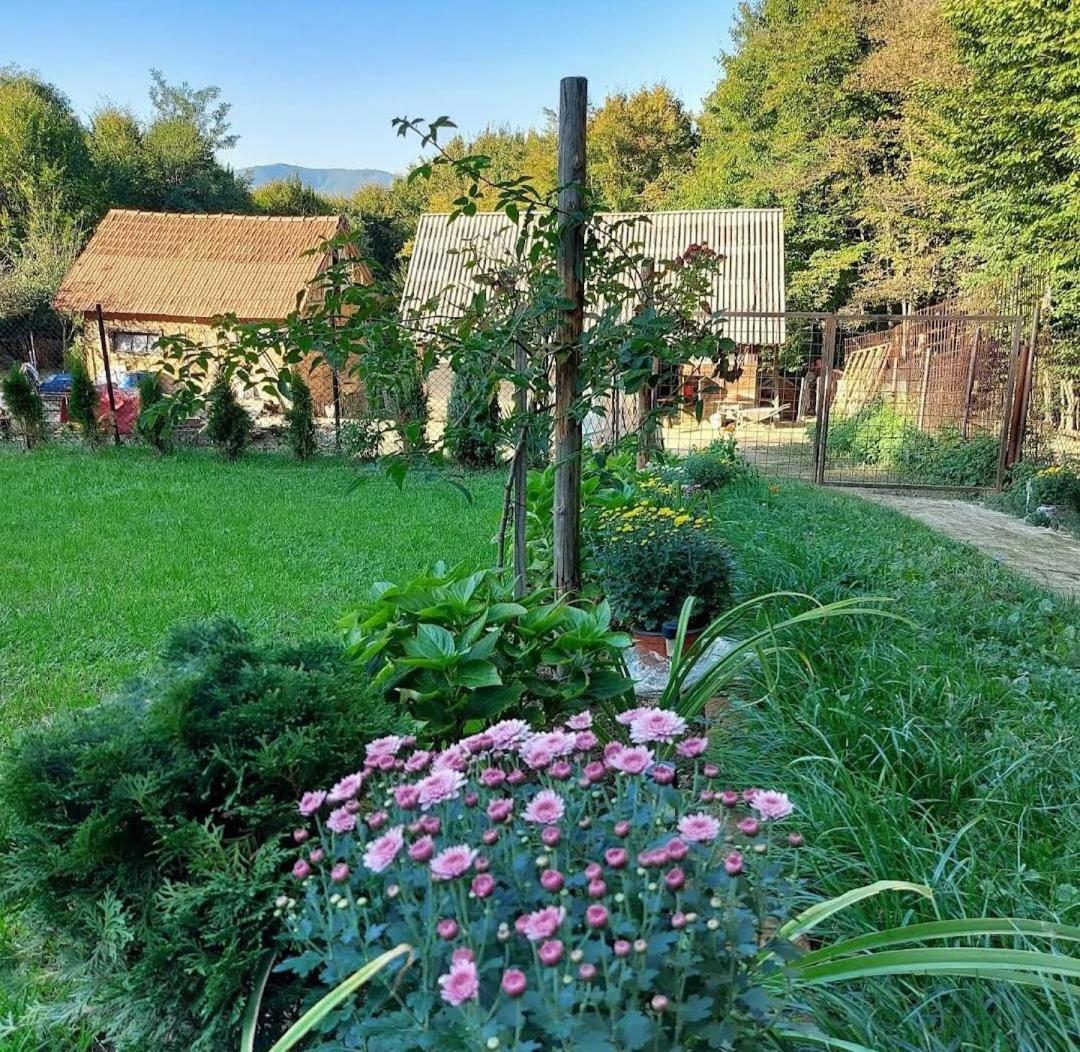 Mala Farma Nani Villa วิโซโค ภายนอก รูปภาพ